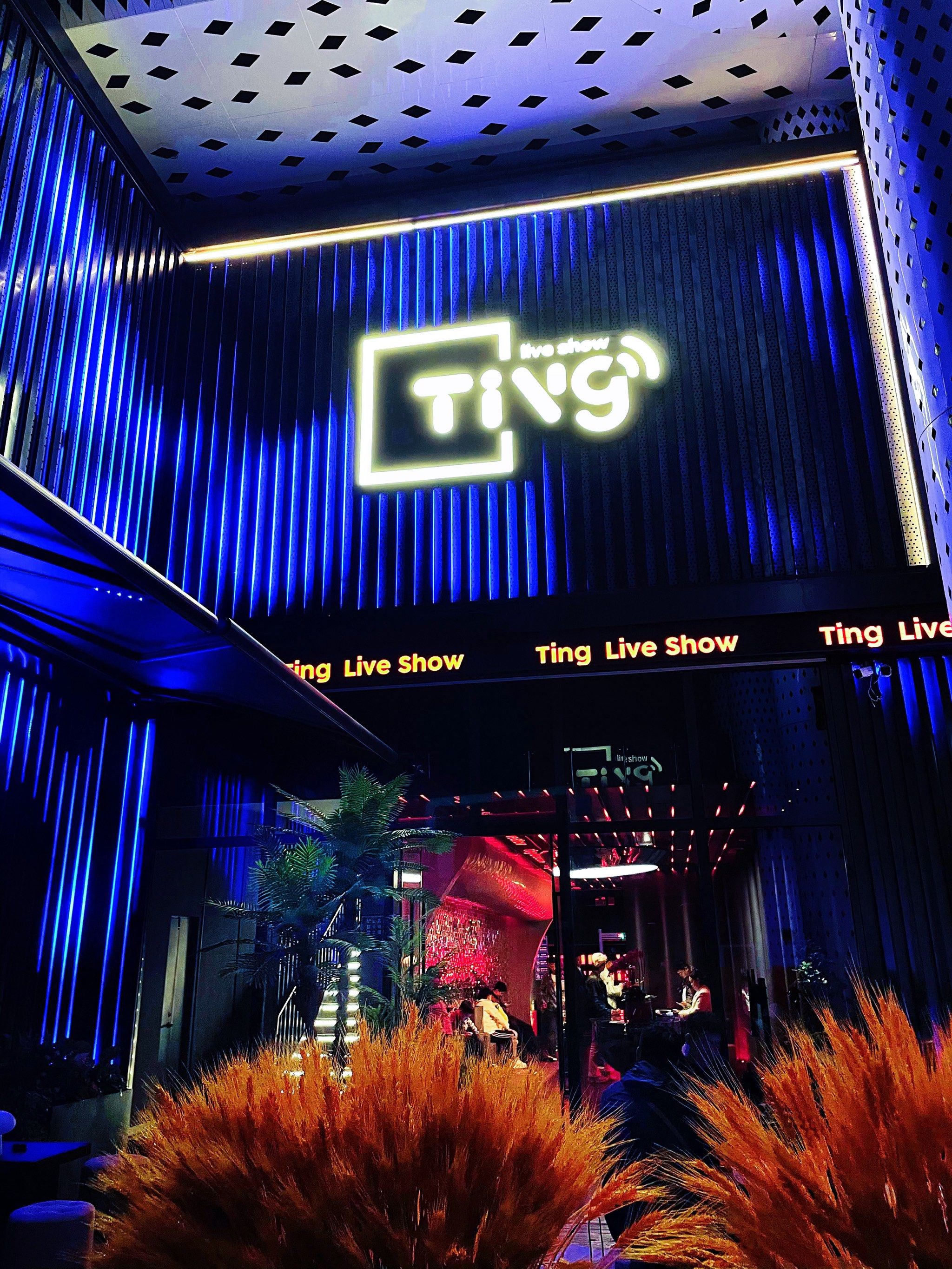 长沙商务ktv及其含义解析-芙蓉区ktv预订